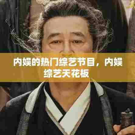 内娱的热门综艺节目，内娱综艺天花板 