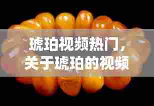 琥珀视频热门，关于琥珀的视频有哪些 