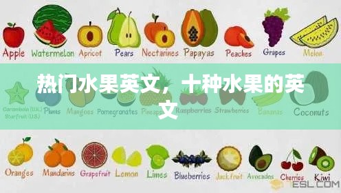 热门水果英文，十种水果的英文 