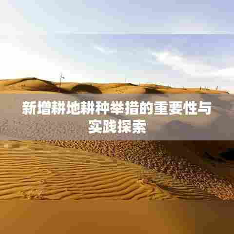 新增耕地耕种举措的重要性与实践探索