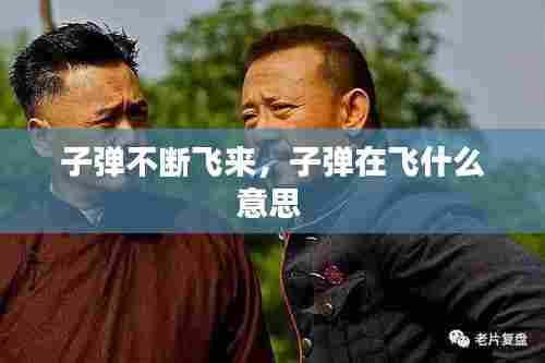 子弹不断飞来，子弹在飞什么意思 