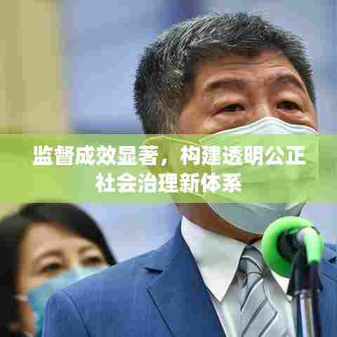 监督成效显著，构建透明公正社会治理新体系