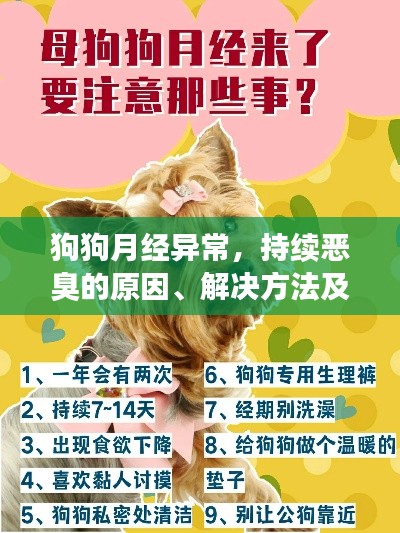 狗狗月经异常，持续恶臭的原因、解决方法及预防措施
