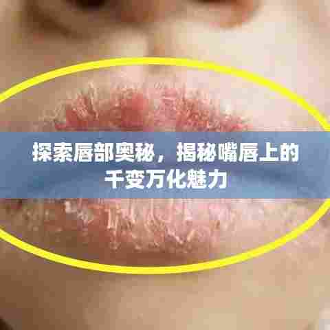 探索唇部奥秘，揭秘嘴唇上的千变万化魅力