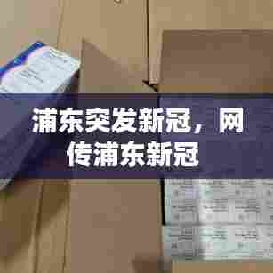 浦东突发新冠，网传浦东新冠 