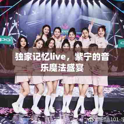 独家记忆live，紫宁的音乐魔法盛宴