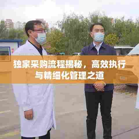 独家采购流程揭秘，高效执行与精细化管理之道
