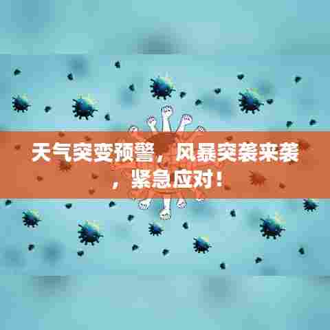 虚张声势 第6页