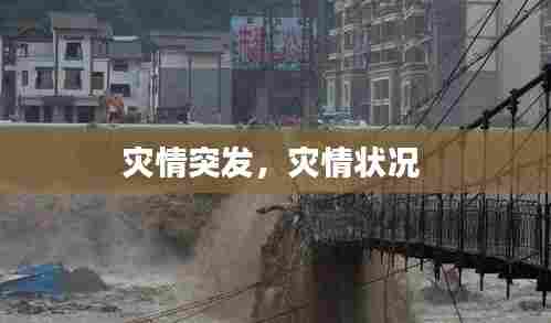 灾情突发，灾情状况 