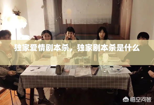 独家爱情剧本杀，独家剧本杀是什么 