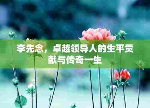 李先念，卓越领导人的生平贡献与传奇一生