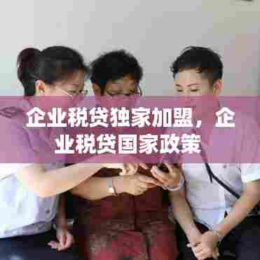 企业税贷独家加盟，企业税贷国家政策 