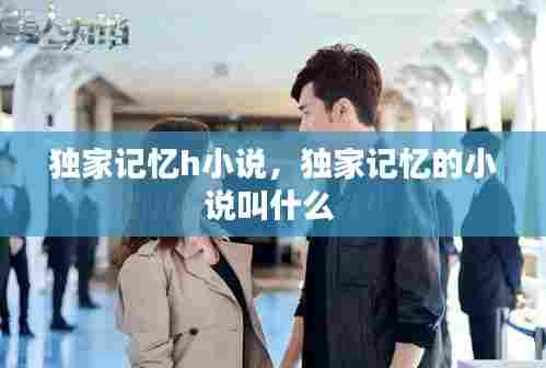 独家记忆h小说，独家记忆的小说叫什么 