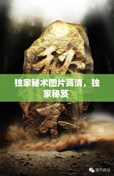 独家秘术图片高清，独家秘笈 