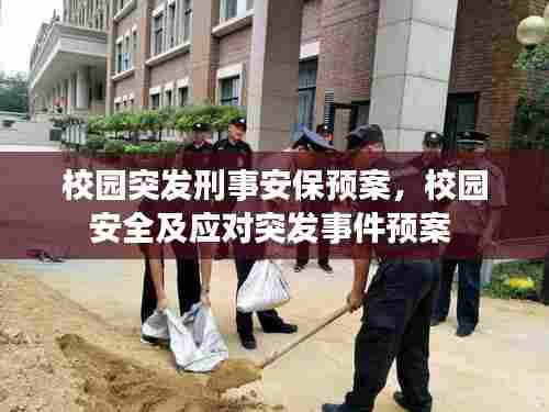 校园突发刑事安保预案，校园安全及应对突发事件预案 