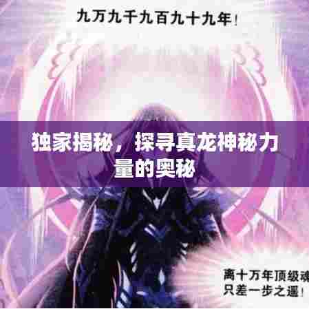 独家揭秘，探寻真龙神秘力量的奥秘