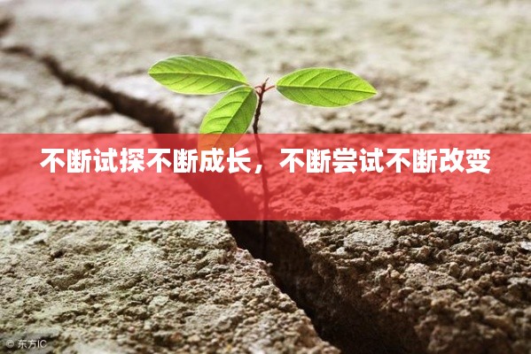 不断试探不断成长，不断尝试不断改变 