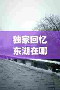 独家回忆东湖在哪里，独家记忆武汉拍摄地 