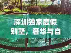 深圳独家度假别墅，奢华与自然的极致交融体验
