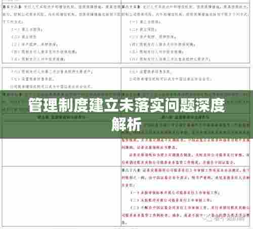 管理制度建立未落实问题深度解析