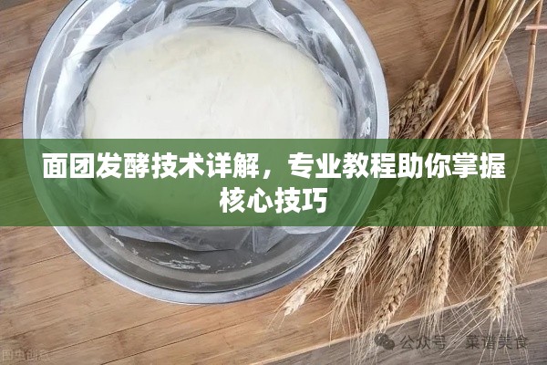 面团发酵技术详解，专业教程助你掌握核心技巧
