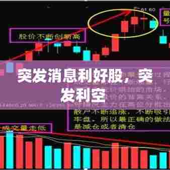 草率从事 第7页