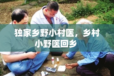 独家乡野小村医，乡村小野医回乡 