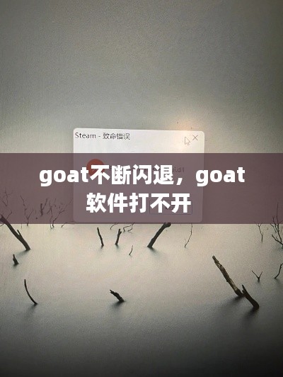 goat不断闪退，goat软件打不开 