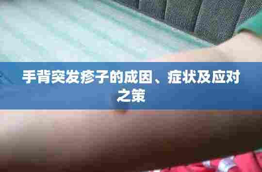手背突发疹子的成因、症状及应对之策