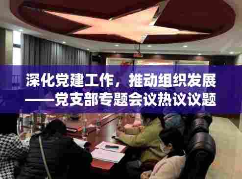 深化党建工作，推动组织发展——党支部专题会议热议议题