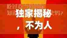 独家揭秘，不为人知的背后故事