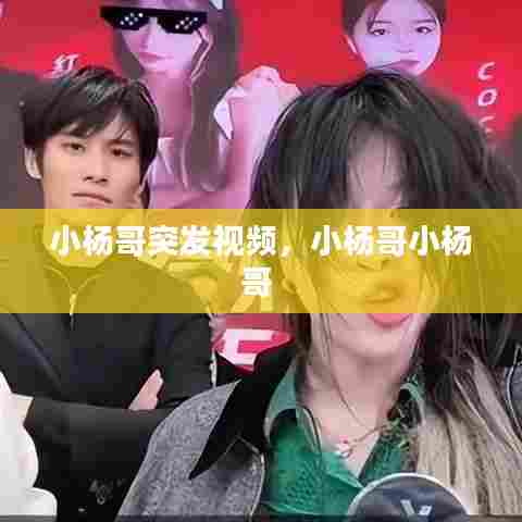 小杨哥突发视频，小杨哥小杨哥 