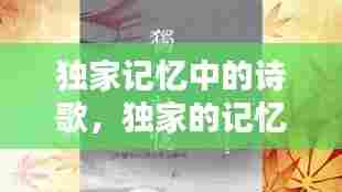 独家记忆中的诗歌，独家的记忆什么歌 