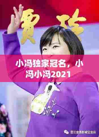 小冯独家冠名，小冯小冯2021 