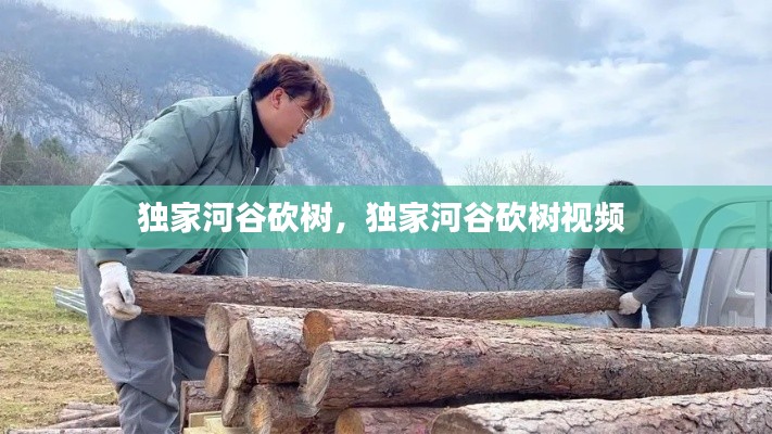 独家河谷砍树，独家河谷砍树视频 