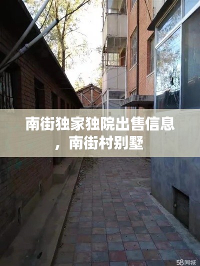 南街独家独院出售信息，南街村别墅 