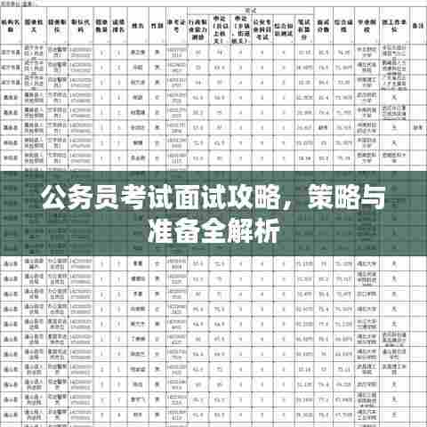 公务员考试面试攻略，策略与准备全解析