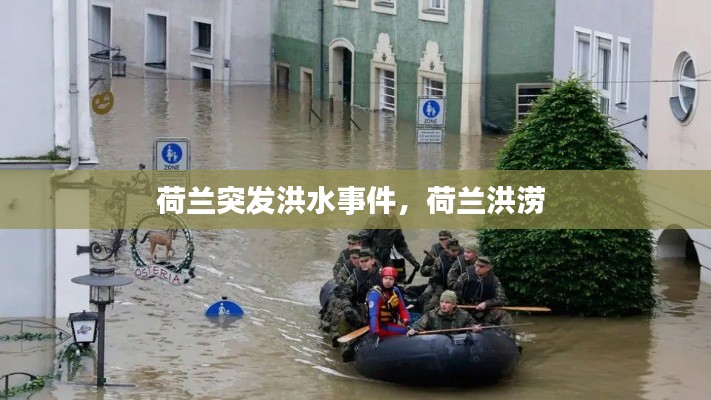 荷兰突发洪水事件，荷兰洪涝 