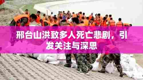 邢台山洪致多人死亡悲剧，引发关注与深思
