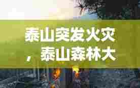 泰山突发火灾，泰山森林大火 