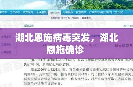 湖北恩施病毒突发，湖北恩施确诊 