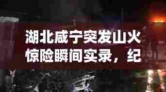 湖北咸宁突发山火惊险瞬间实录，纪实视频揭示生死救援时刻