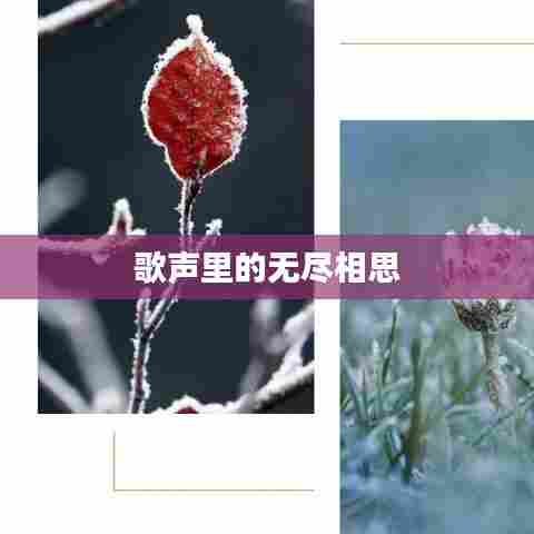 歌声里的无尽相思