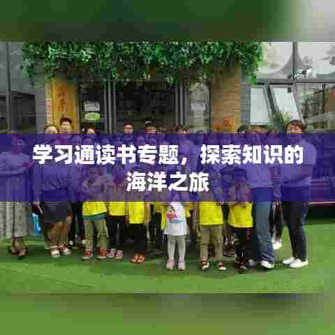 学习通读书专题，探索知识的海洋之旅