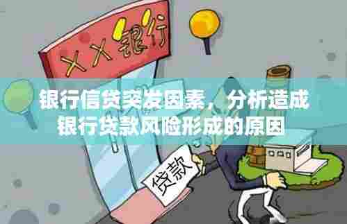 银行信贷突发因素，分析造成银行贷款风险形成的原因 