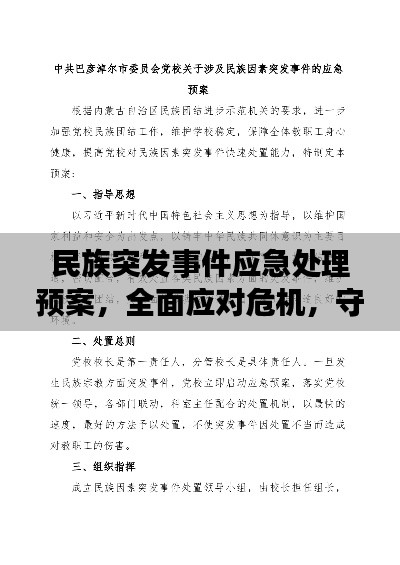 民族突发事件应急处理预案，全面应对危机，守护民族安全