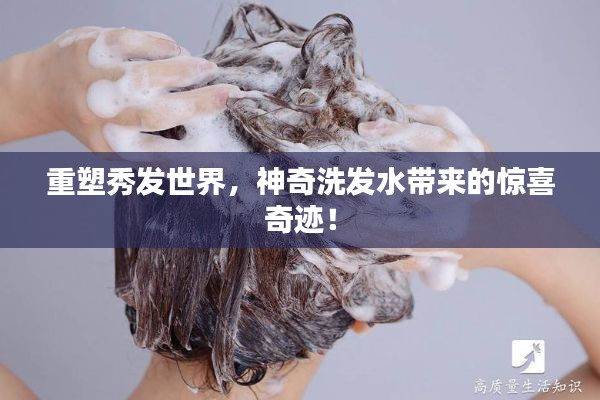 重塑秀发世界，神奇洗发水带来的惊喜奇迹！