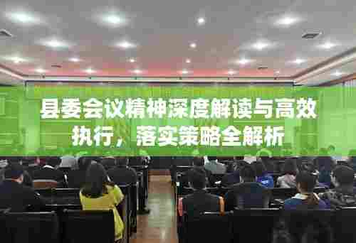 县委会议精神深度解读与高效执行，落实策略全解析