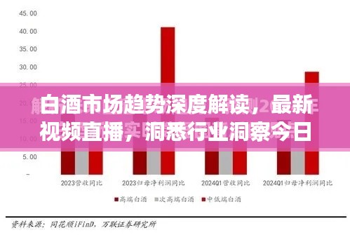 白酒市场趋势深度解读，最新视频直播，洞悉行业洞察今日呈现