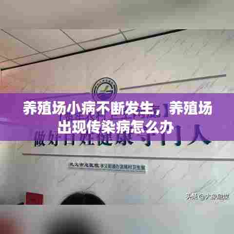 养殖场小病不断发生，养殖场出现传染病怎么办 